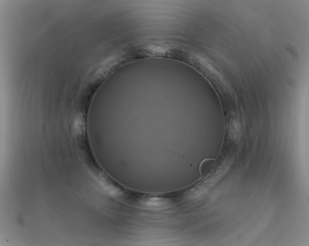 X0000112030467200908101343