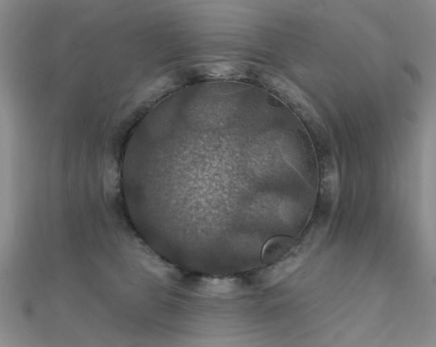 X0000112030469200908101343