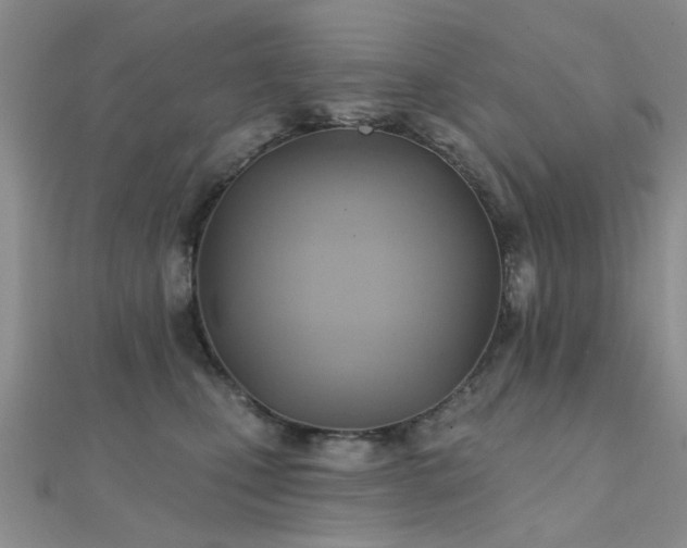 X0000112030471200908101343