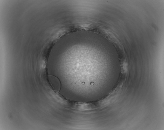 X0000112030472200908101343