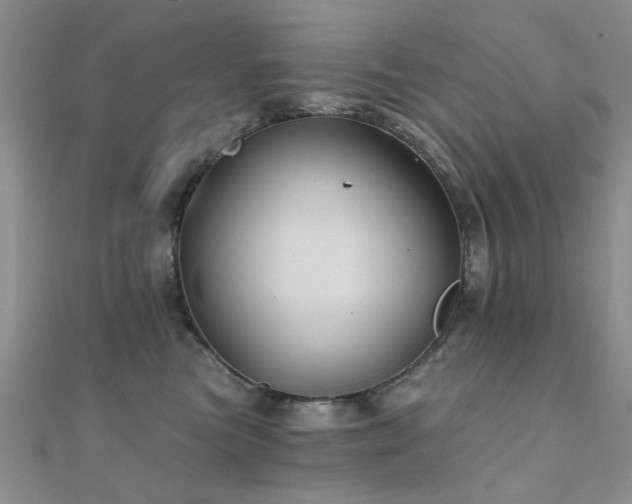 X0000112030473200908101343