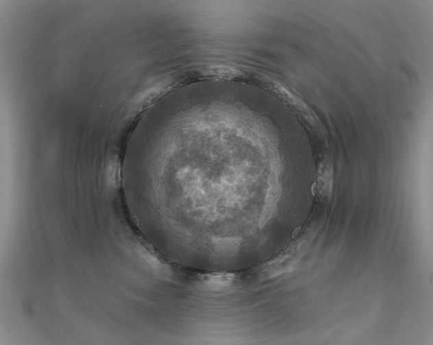 X0000112030474200908101343