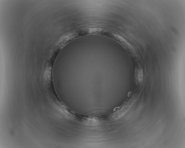 X0000112030475200908101343