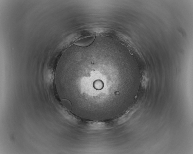 X0000112030476200908101343