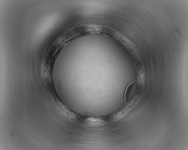 X0000112030477200908101343