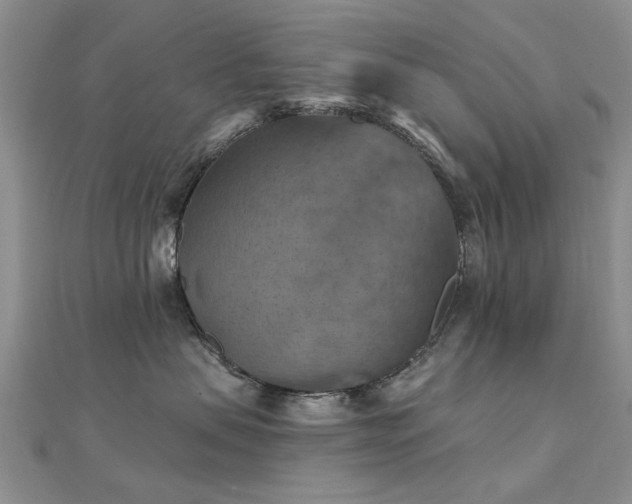 X0000112030479200908101343