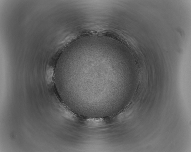 X0000112030480200908101343