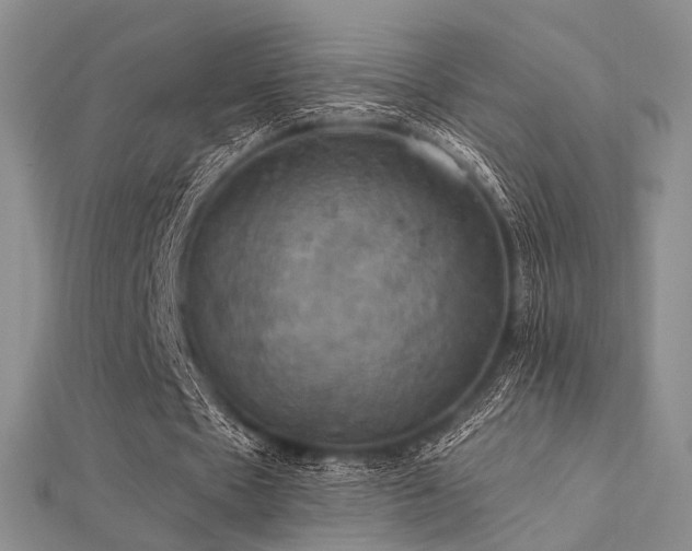 X0000112030481200908101342