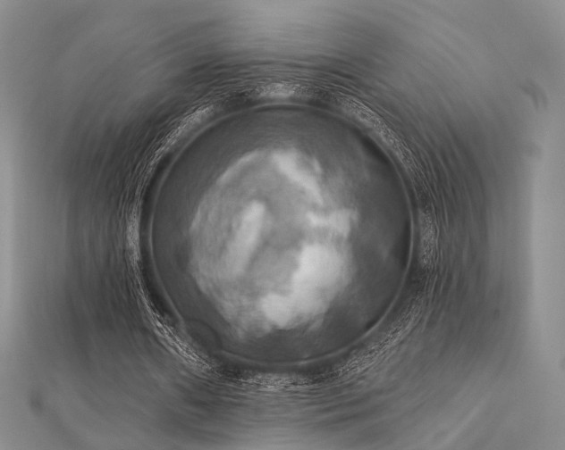 X0000112030482200908101342