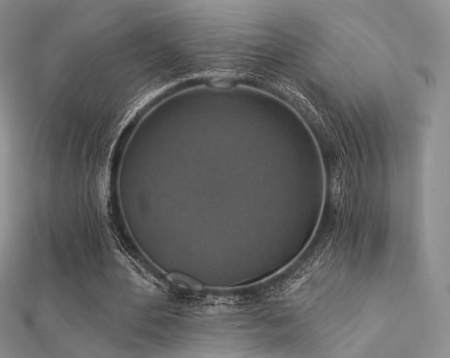 X0000112030484200908101342