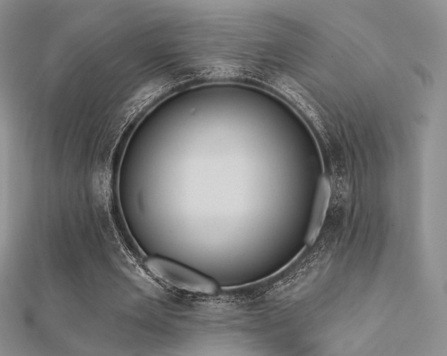 X0000112030485200908101342
