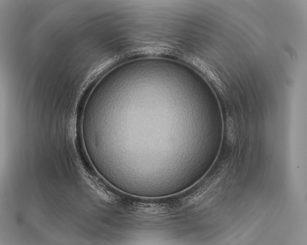 X0000112030486200908101342
