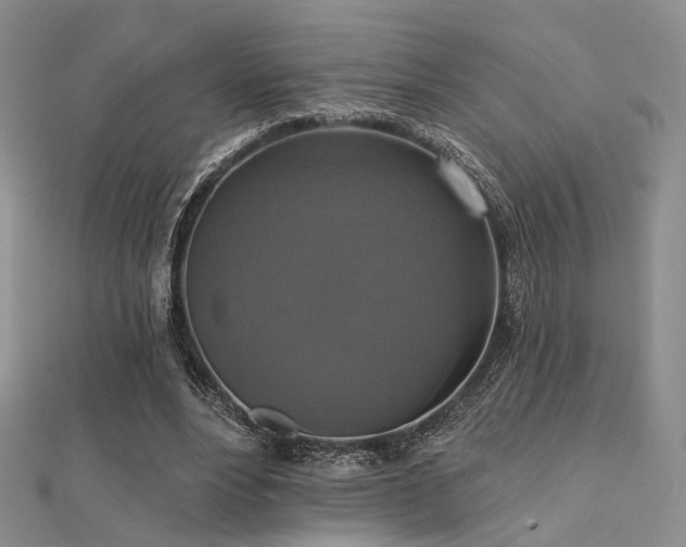 X0000112030488200908101342