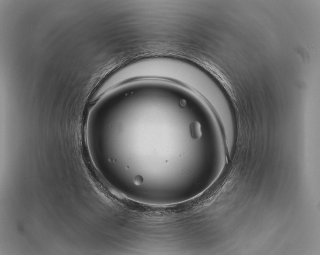 X0000112030489200908101342