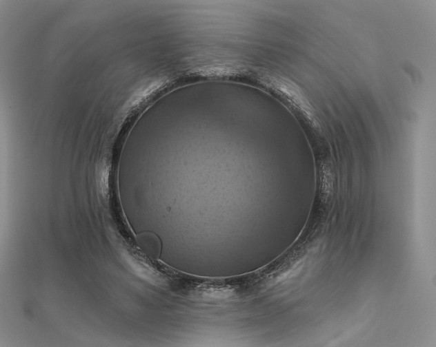 X0000112030491200908101342