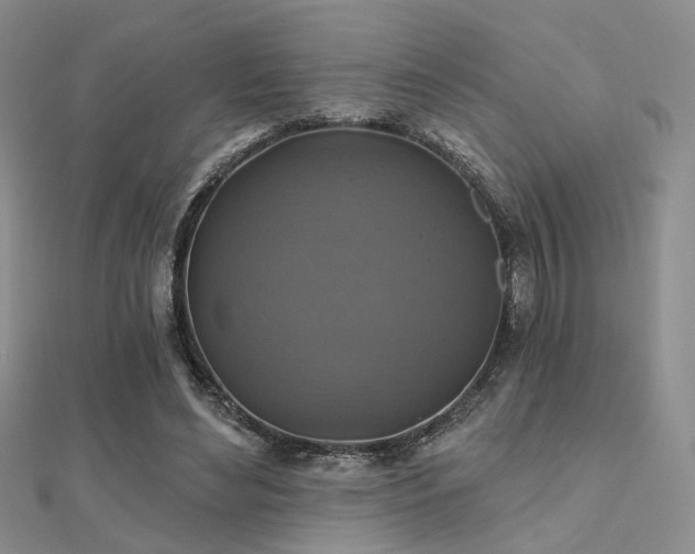 X0000112030492200908101342