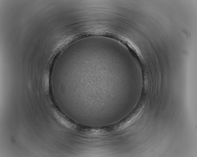 X0000112030493200908101342
