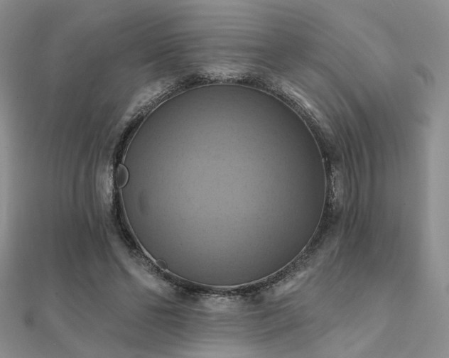 X0000112030494200908101342