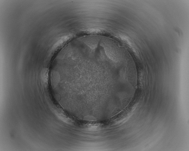 X0000112030495200908101342