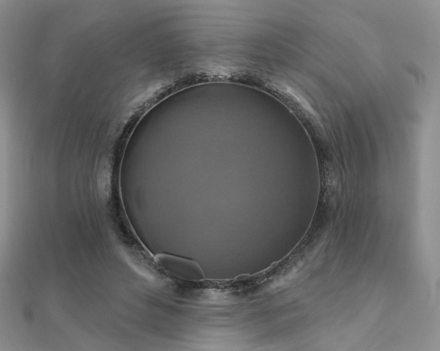 X0000112030496200908101342