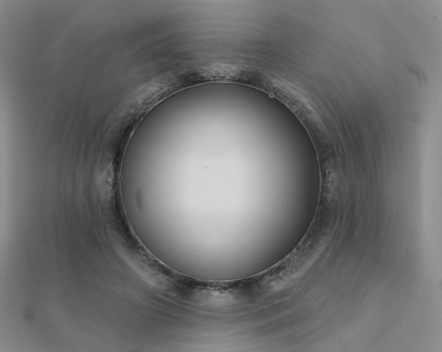 X0000112030498200908101342