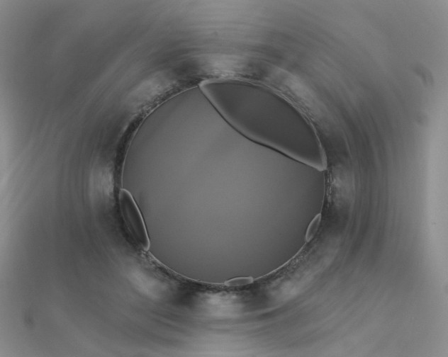 X0000112030500200908101342