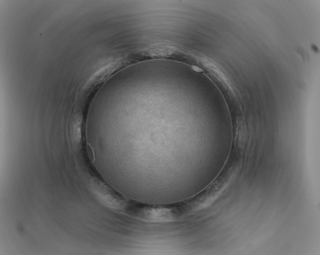 X0000112030501200908101342