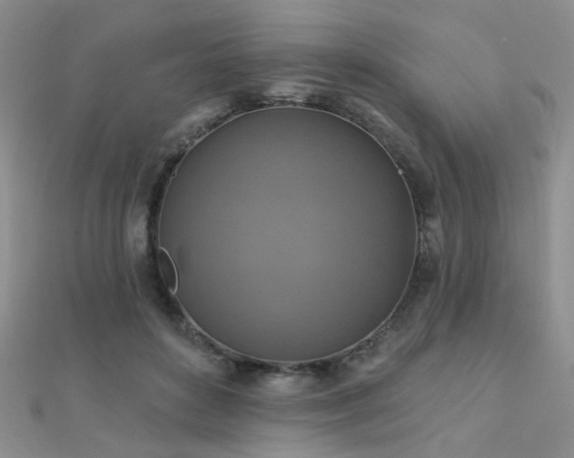 X0000112030504200908101342