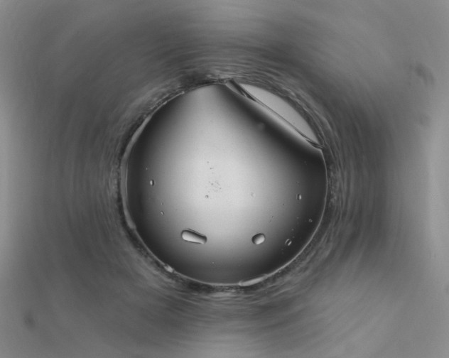 X0000112030505200908101342