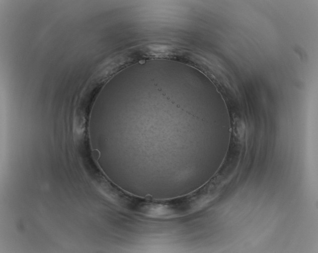 X0000112030507200908101342