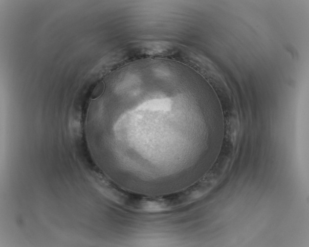 X0000112030510200908101342