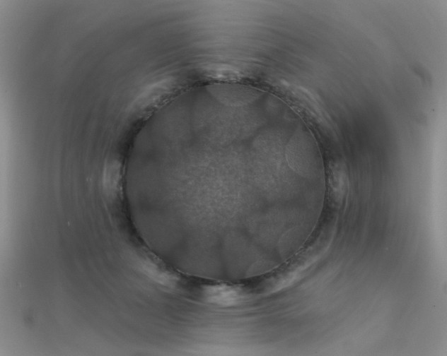X0000112030511200908101342