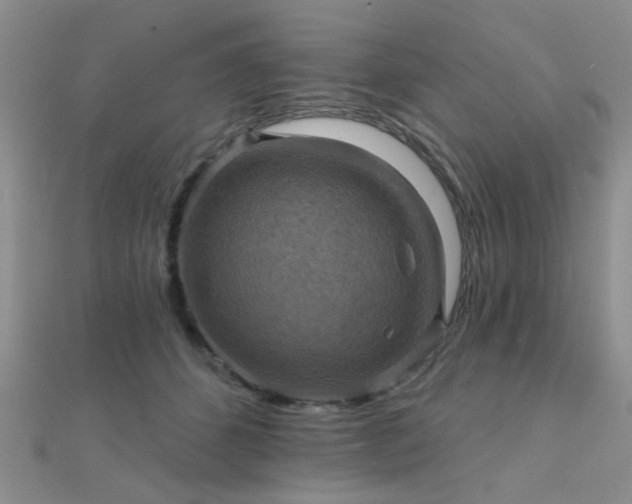 X0000112030512200908101342