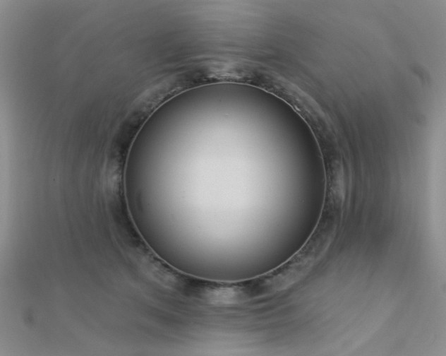 X0000112030513200908101342