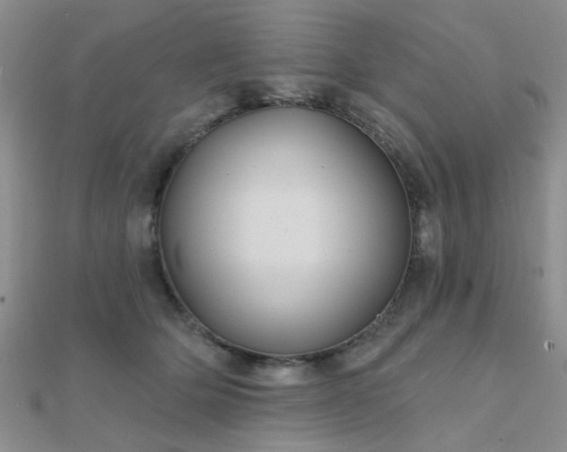 X0000112030514200908101342