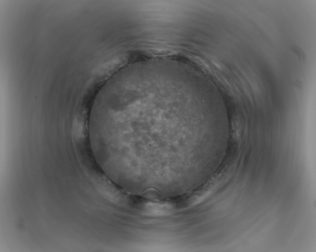 X0000112030515200908101342