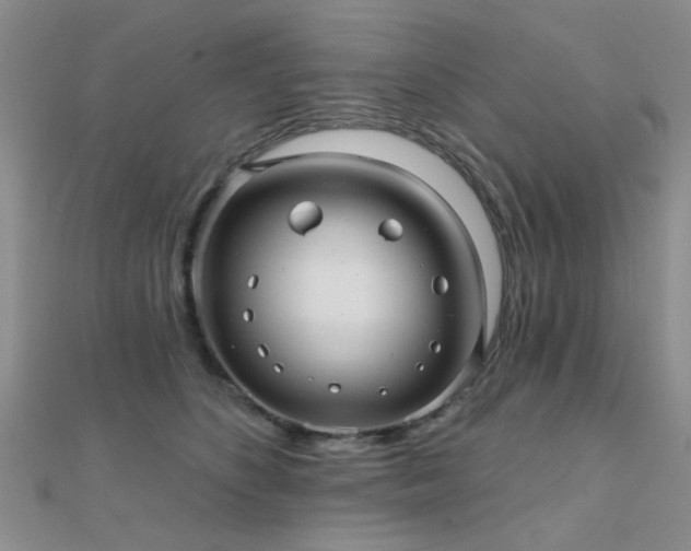 X0000112030516200908101342