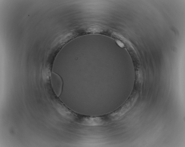 X0000112030517200908101342