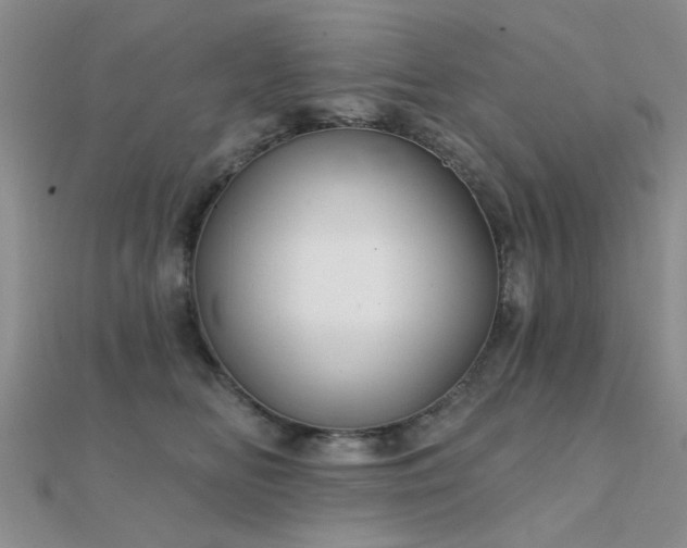 X0000112030518200908101342