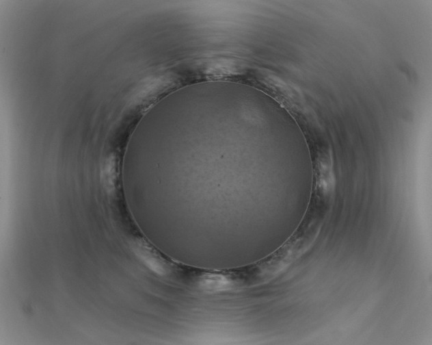X0000112030519200908101342