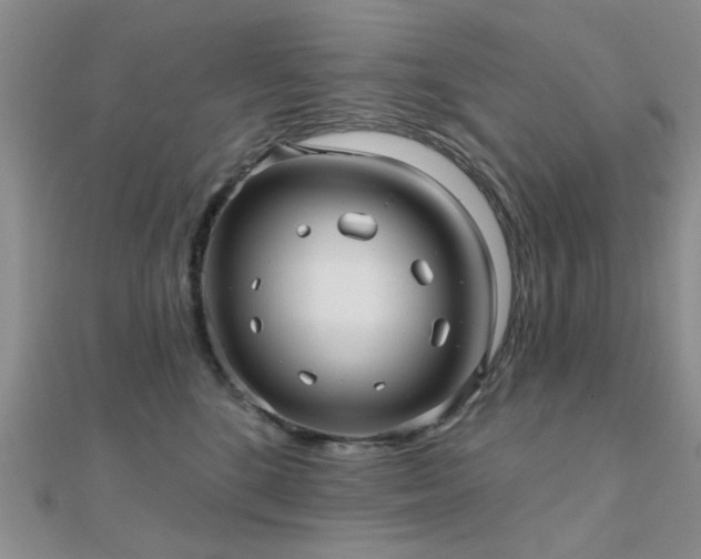 X0000112030520200908101342