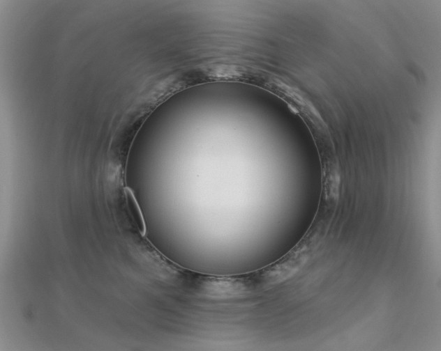 X0000112030521200908101342