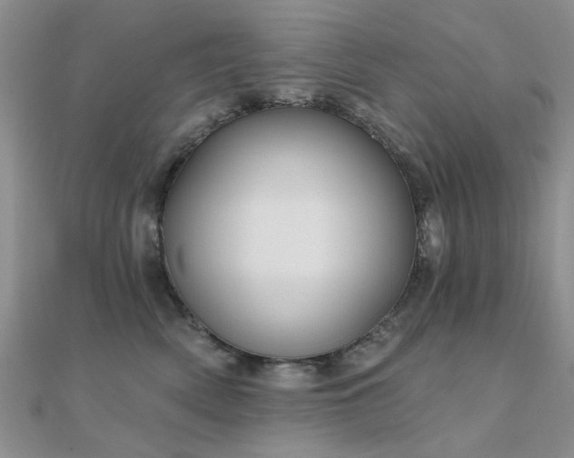 X0000112030522200908101342