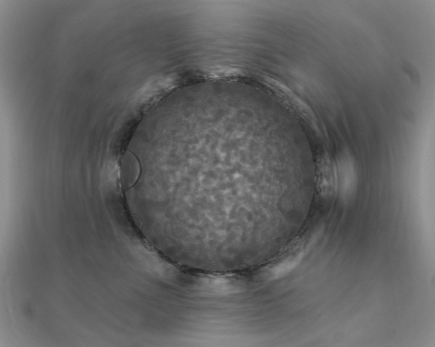 X0000112030523200908101342