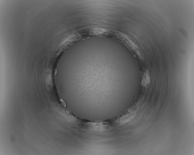 X0000112030524200908101342