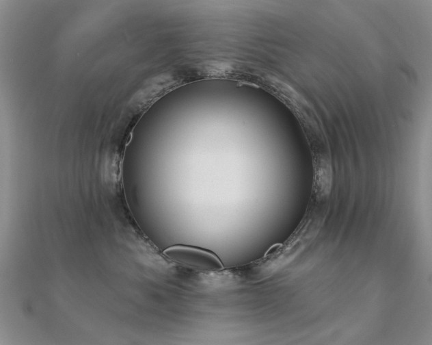 X0000112030525200908101342