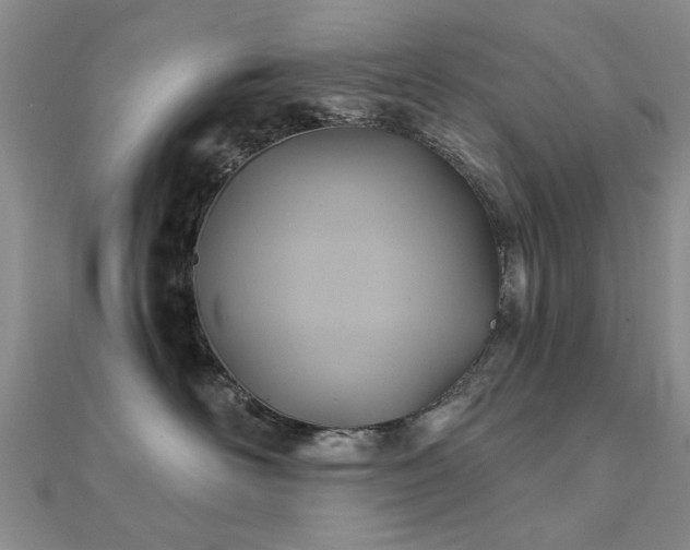 X0000112030526200908101342