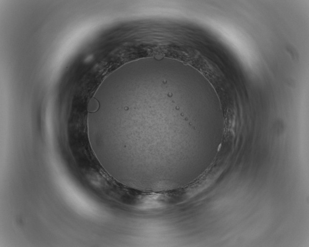 X0000112030527200908101342