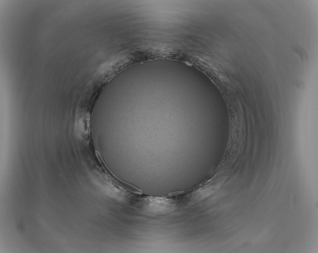 X0000112030528200908101342