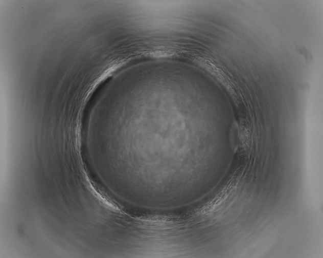 X0000112030530200908101341